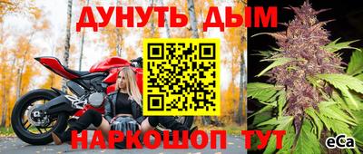 эйфоретик Сосновоборск